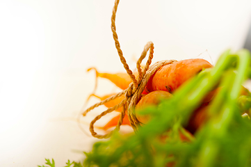 Image showing baby carrots bunch tied with rope