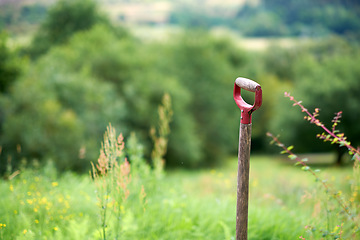 Image showing Denmark nature, countryside and environment. Nature in the Kingdom of Denmark.