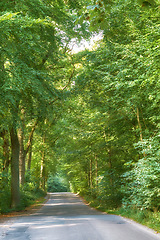 Image showing Denmark nature, countryside and environment. Nature in the Kingdom of Denmark.