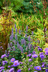 Image showing Denmark nature, countryside and environment. Nature in the Kingdom of Denmark.