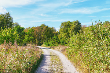 Image showing Denmark nature, countryside and environment. Nature in the Kingdom of Denmark.