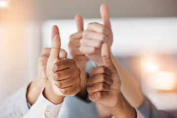 Image showing Thumbs up, business people and hands for success, teamwork and vote yes to show support. Closeup, employees and group with thumb sign, like emoji and thank you for trust, agreement and winning goals