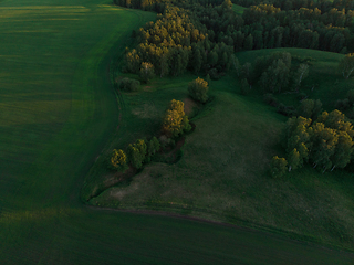 Image showing Top aerial view of green fields and meadows