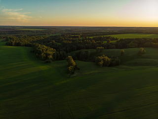 Image showing Top aerial view of green fields and meadows