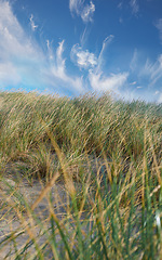 Image showing Denmark nature, countryside and environment. Nature in the Kingdom of Denmark.