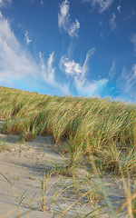 Image showing Denmark nature, countryside and environment. Nature in the Kingdom of Denmark.