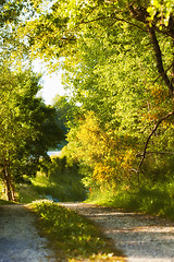 Image showing Denmark nature, countryside and environment. Nature in the Kingdom of Denmark.