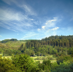 Image showing Denmark nature, countryside and environment. Nature in the Kingdom of Denmark.