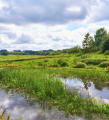 Image showing Denmark nature, countryside and environment. Nature in the Kingdom of Denmark.