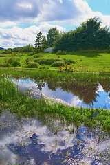 Image showing Denmark nature, countryside and environment. Nature in the Kingdom of Denmark.