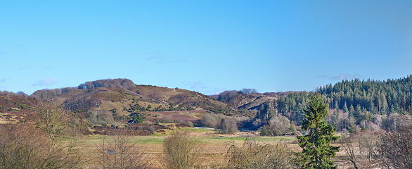 Image showing Denmark nature, countryside and environment. Nature in the Kingdom of Denmark.