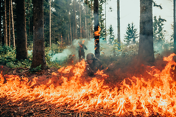 Image showing Modern warfare soldiers surrounded by fire fight in dense and dangerous forest areas