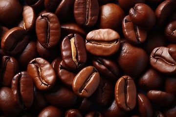 Image showing Coffee beans background