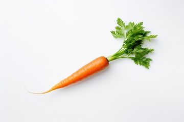 Image showing Fresh carrot on white