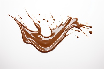 Image showing Chocolate splash on white