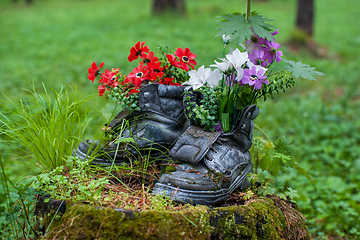 Image showing Touristic boot with flowers in the forest.