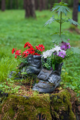 Image showing Touristic boot with flowers in the forest.