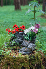 Image showing Touristic boot with flowers in the forest.