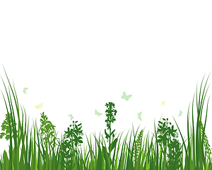 Image showing Green Grass Meadow