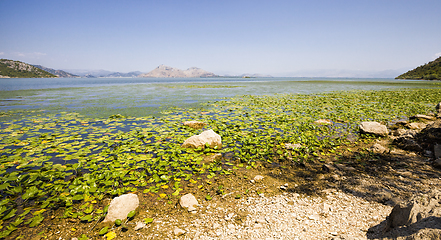 Image showing a large lake