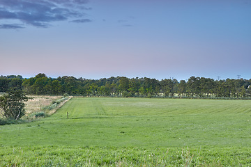 Image showing Denmark nature, countryside and environment. Nature in the Kingdom of Denmark.