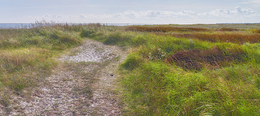 Image showing Denmark nature, countryside and environment. Nature in the Kingdom of Denmark.