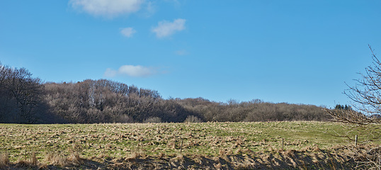 Image showing Denmark nature, countryside and environment. Nature in the Kingdom of Denmark.