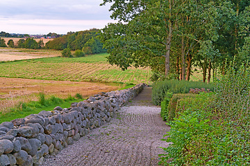 Image showing Denmark nature, countryside and environment. Nature in the Kingdom of Denmark.