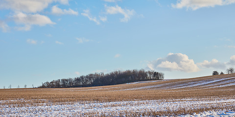 Image showing Denmark nature, countryside and environment. Nature in the Kingdom of Denmark.