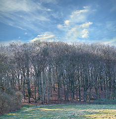 Image showing Denmark nature, countryside and environment. Nature in the Kingdom of Denmark.