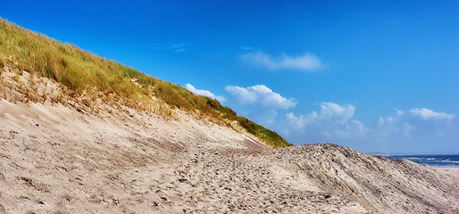 Image showing Denmark nature, countryside and environment. Nature in the Kingdom of Denmark.