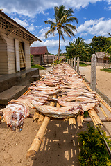 Image showing Drying fish in the sun, Madagascar.