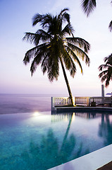 Image showing luxury swimming pool with coconut tree Caribbean sea