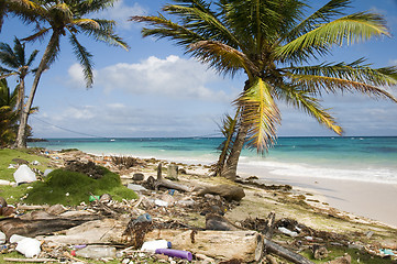 Image showing sallie peachie beach litter malecon north end corn island nicara