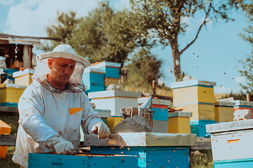 Image showing Beekeeper checking honey on the beehive frame in the field. Small business owner on apiary. Natural healthy food produceris working with bees and beehives on the apiary.