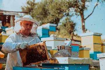 Image showing Beekeeper checking honey on the beehive frame in the field. Small business owner on apiary. Natural healthy food produceris working with bees and beehives on the apiary.