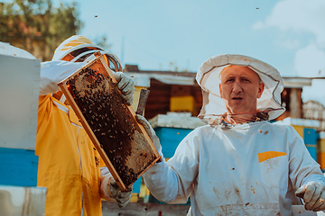 Image showing Beekeepers checking honey on the beehive frame in the field. Small business owners on apiary. Natural healthy food produceris working with bees and beehives on the apiary.