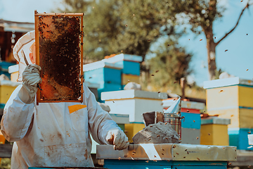 Image showing Beekeeper checking honey on the beehive frame in the field. Small business owner on apiary. Natural healthy food produceris working with bees and beehives on the apiary.