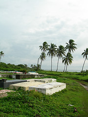 Image showing cemetery by the sea