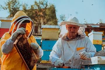 Image showing Beekeepers checking honey on the beehive frame in the field. Small business owners on apiary. Natural healthy food produceris working with bees and beehives on the apiary.