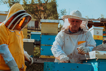 Image showing Beekeepers checking honey on the beehive frame in the field. Small business owners on apiary. Natural healthy food produceris working with bees and beehives on the apiary.