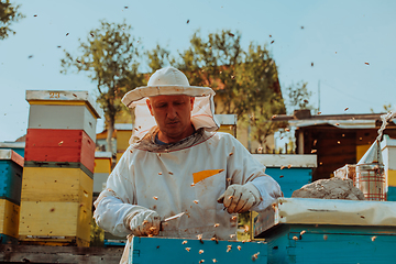 Image showing Beekeeper checking honey on the beehive frame in the field. Beekeeper on apiary. Beekeeper is working with bees and beehives on the apiary.