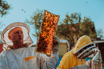 Image showing Beekeepers checking honey on the beehive frame in the field. Small business owners on apiary. Natural healthy food produceris working with bees and beehives on the apiary.