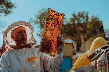 Image showing Beekeepers checking honey on the beehive frame in the field. Small business owners on apiary. Natural healthy food produceris working with bees and beehives on the apiary.