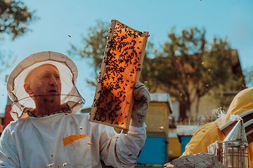 Image showing Beekeepers checking honey on the beehive frame in the field. Small business owners on apiary. Natural healthy food produceris working with bees and beehives on the apiary.