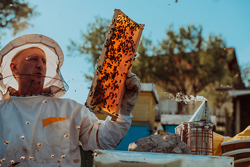 Image showing Beekeepers checking honey on the beehive frame in the field. Small business owners on apiary. Natural healthy food produceris working with bees and beehives on the apiary.