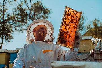 Image showing Beekeepers checking honey on the beehive frame in the field. Small business owners on apiary. Natural healthy food produceris working with bees and beehives on the apiary.