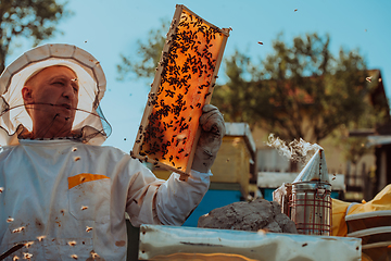 Image showing Beekeepers checking honey on the beehive frame in the field. Small business owners on apiary. Natural healthy food produceris working with bees and beehives on the apiary.