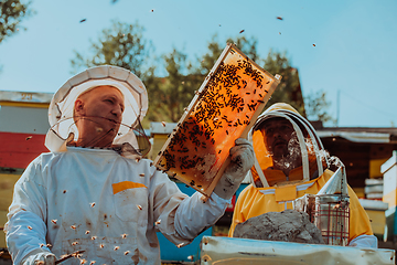 Image showing Beekeepers checking honey on the beehive frame in the field. Small business owners on apiary. Natural healthy food produceris working with bees and beehives on the apiary.