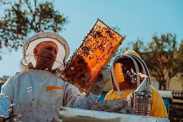 Image showing Beekeepers checking honey on the beehive frame in the field. Small business owners on apiary. Natural healthy food produceris working with bees and beehives on the apiary.